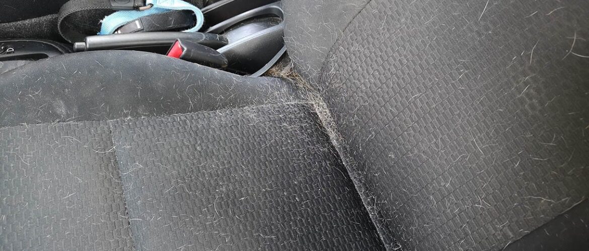 How to remove pet hair from car interior ?