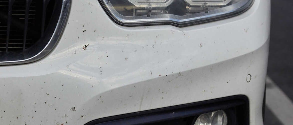 How to Remove Bugs from Your Car in Calgary, Alberta