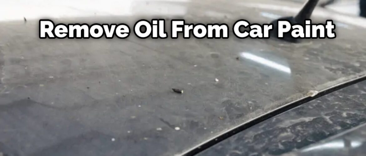 How to Remove Oil from Your Car in Calgary, Alberta